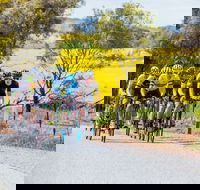 The Heron's Highway - Avon River Cycle Trail - Kempsey Accommodation