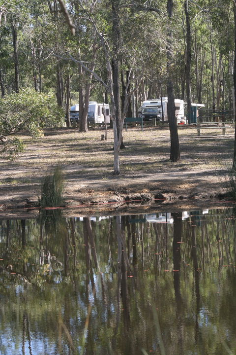 Wongi State Forest - Kempsey Accommodation 1