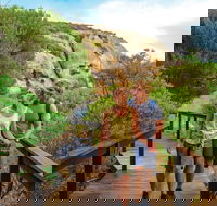 Woody Island Nature Reserve - Kempsey Accommodation