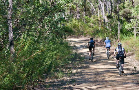 Andersons Trail - Kempsey Accommodation 0