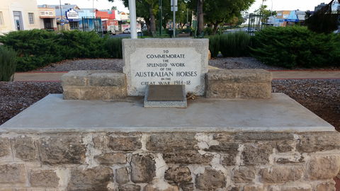 Barmera Horse Trough - Kempsey Accommodation 0