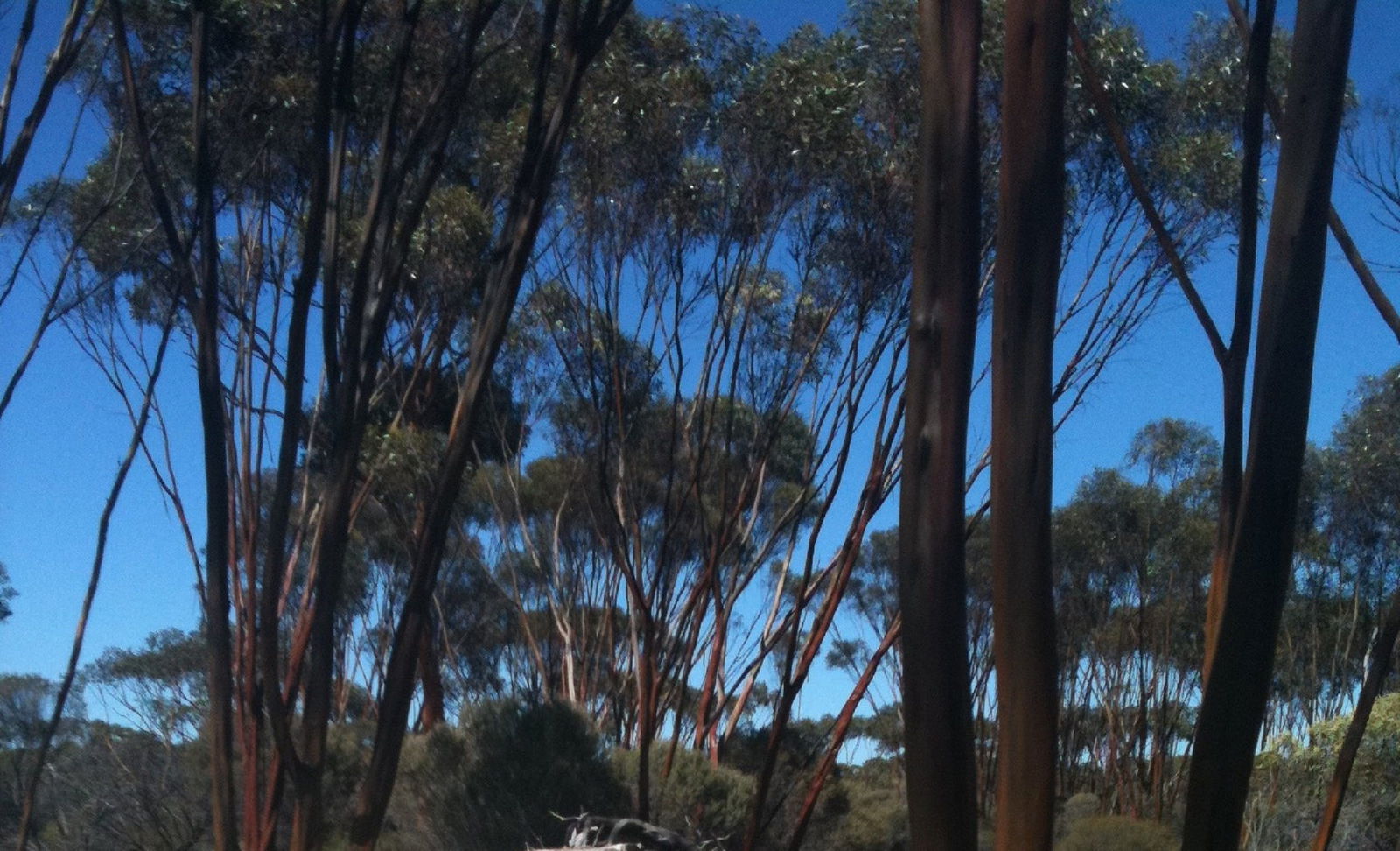Boorabbin WA Kempsey Accommodation