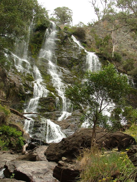 Buddong Falls Walking Track - Kempsey Accommodation 0