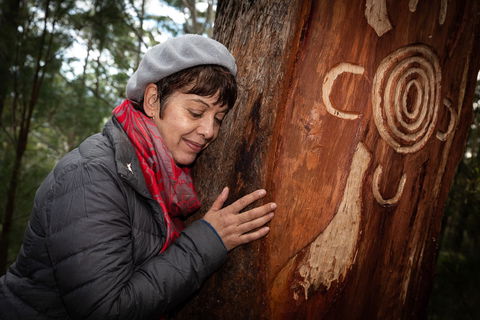 Bulahdelah Mountain Aboriginal Place - Kempsey Accommodation 1