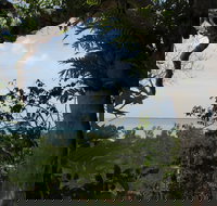 Channel Point Coastal Reserve - Kempsey Accommodation