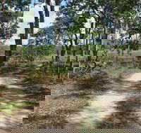 Djukbinj National Park - Kempsey Accommodation