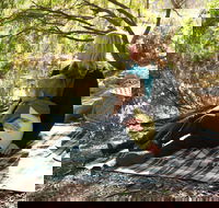 Haig Street Quarry Bushland Reserve Trails - Kempsey Accommodation