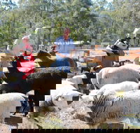 Haigslea EWE Nique Hobby Farm - Kempsey Accommodation