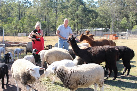 Haigslea EWE Nique Hobby Farm - Kempsey Accommodation 0