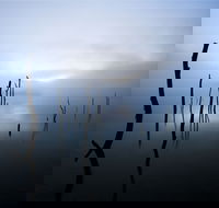 Jounama Creek Walking Track