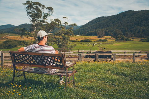 North - North East - Kempsey Accommodation 0