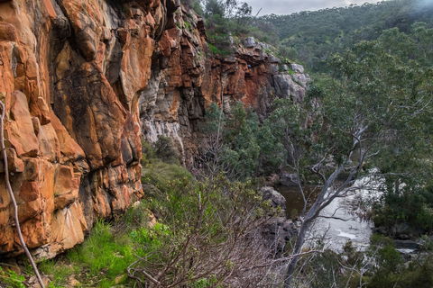 Onkaparinga River National Park - Kempsey Accommodation 1