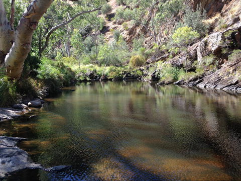 Onkaparinga River National Park - Kempsey Accommodation 2