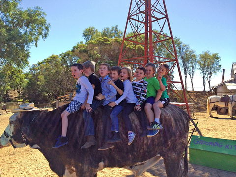 Outback Stockman's Show - Kempsey Accommodation 1