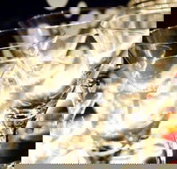 Rushworth - Kempsey Accommodation