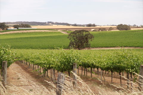 Smidge Wines Tasting Room - Kempsey Accommodation 0