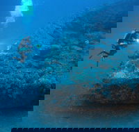 The Zanoni Wreck - Kempsey Accommodation