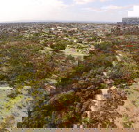 The Pines Flora and Fauna Reserve - Kempsey Accommodation