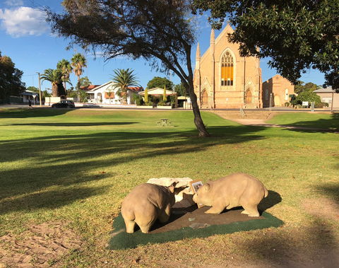 Wombat Statues, Moonta - Kempsey Accommodation 2