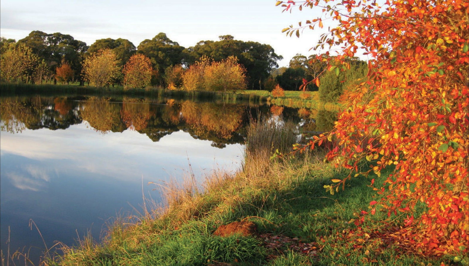 Alpine NSW Kempsey Accommodation