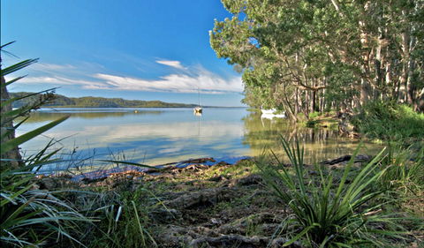 Black Oaks Picnic Area - Kempsey Accommodation 0