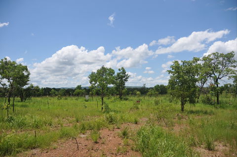 Brocks Creek Chinatown And Temple Site - Kempsey Accommodation 1