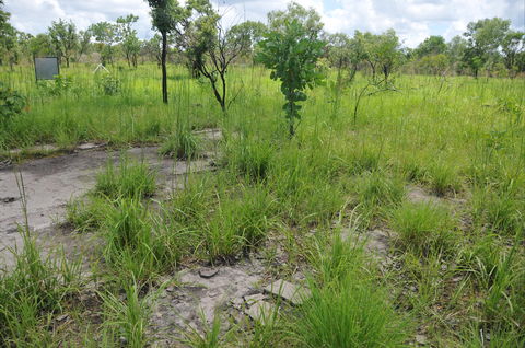Brocks Creek Chinatown And Temple Site - Kempsey Accommodation 2