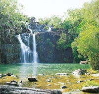 Cedar Creek Falls - Kempsey Accommodation