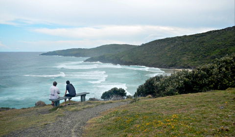 Connors Walking Track - Kempsey Accommodation 0