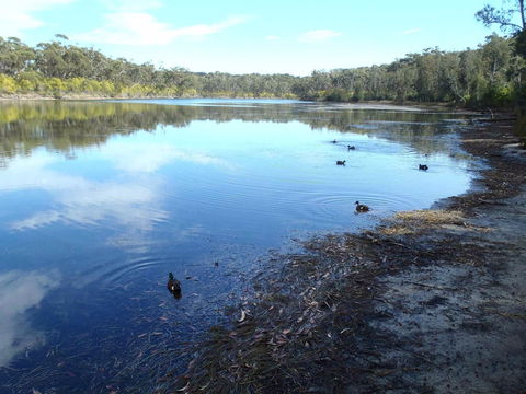 Conjola National Park - Kempsey Accommodation 0