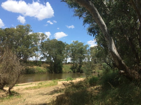 Farleigh 'Beach' Reserve - Kempsey Accommodation 0