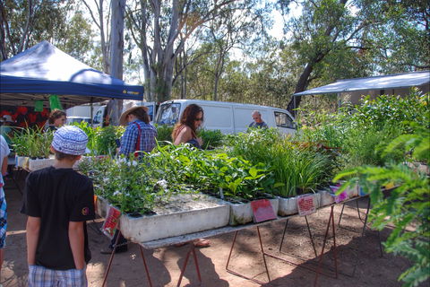 Fernvale Country Markets - Kempsey Accommodation 0