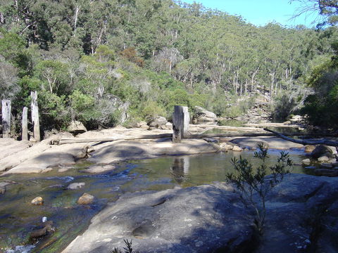 Frere's Crossing Bushwalk - Kempsey Accommodation 0