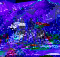 Glowing Rooms 3D Mini Golf - Kempsey Accommodation