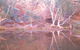 Hamersley Gorge - thumb 1