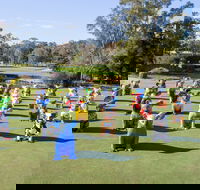 Hello Koalas Sculpture Trail - Kempsey Accommodation