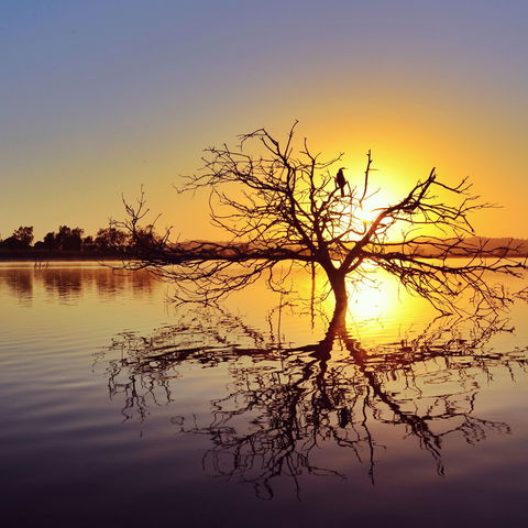 Lake Dyer - Kempsey Accommodation 0