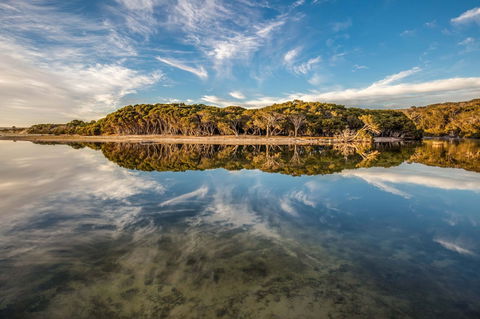 Lashmar Conservation Park - Kempsey Accommodation 0