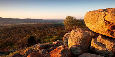 Mount Brown Lookout - Kempsey Accommodation 0