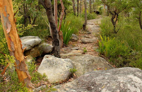 Mount Olive Trail - Kempsey Accommodation 0
