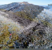 Mt Buller Bike Park - Kempsey Accommodation