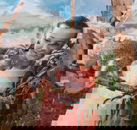 Oakvale Wildlife Park - Kempsey Accommodation