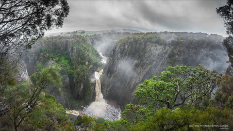 Oxley Wild Rivers National Park - Kempsey Accommodation 0