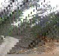 Paddys Ranges State Park - Kempsey Accommodation