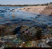 Point Cook Marine Sanctuary - Kempsey Accommodation