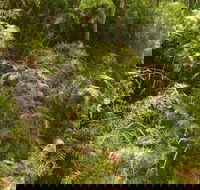 Powder Magazine walking track - Kempsey Accommodation