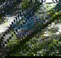 Rainforest Walking Track Hat Head National Park - Kempsey Accommodation