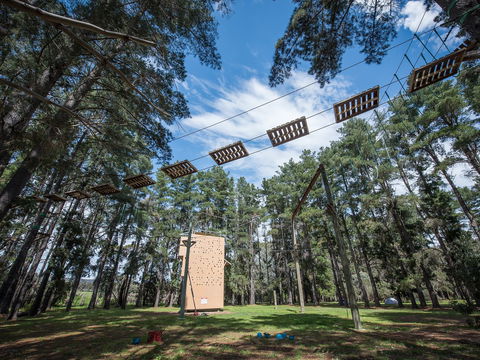 Southern Adventure Hub - Kempsey Accommodation 0