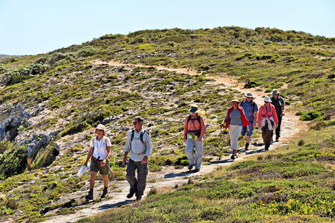 The Sole Walk At Hillocks Drive - Kempsey Accommodation 0