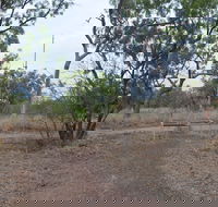 Alexander Forest Memorial - Kempsey Accommodation